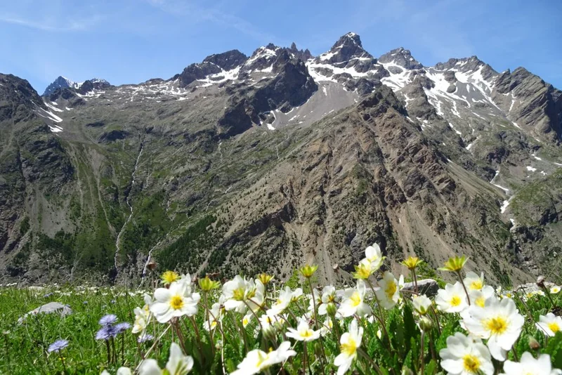 Sur les traces des bergers · © Office de tourisme Pays des Écrins