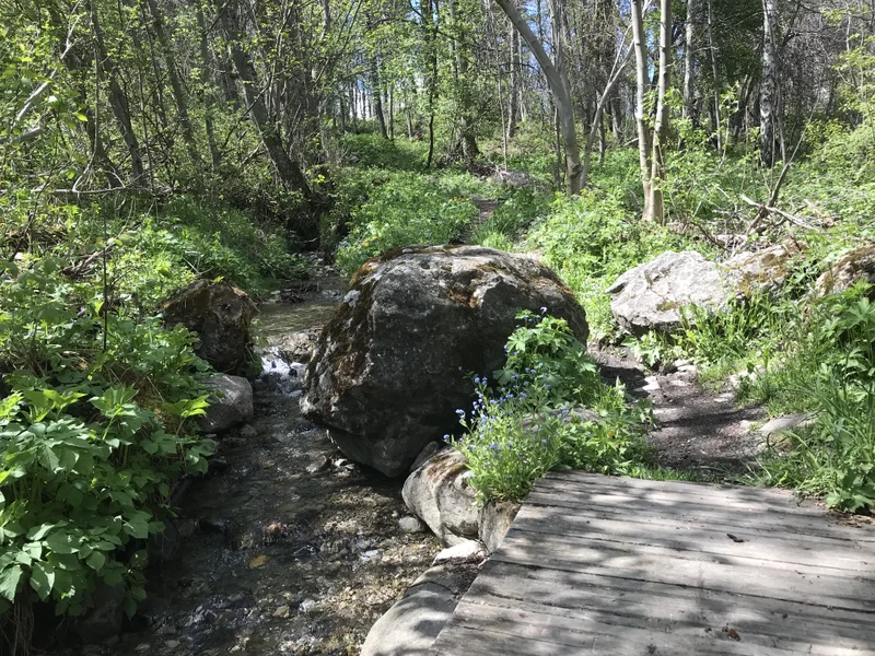 Trail Trail N°24 - Le circuit du Béal — Puy-Saint-Vincent
