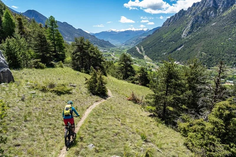 © Rogier Van Rijn