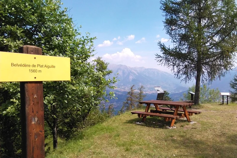 Belvédère de Plat Aiguille · © Office National des Fôrets