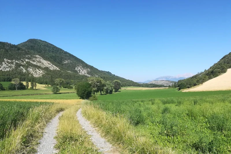 Chemin au milieu des champs agricoles · © Amélie Vallier