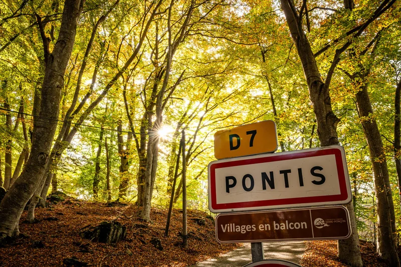 Pontis et sa hêtraie · © OT Serre-Ponçon · Droits d'auteur