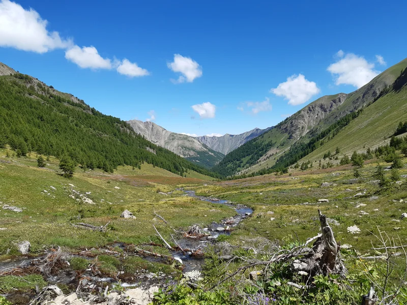 Les alpages sous le col · © florimont.tilliere