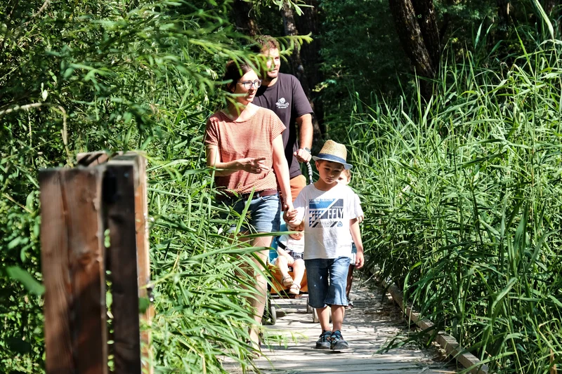 Sur le sentier du Liou · © Norman Lancelot