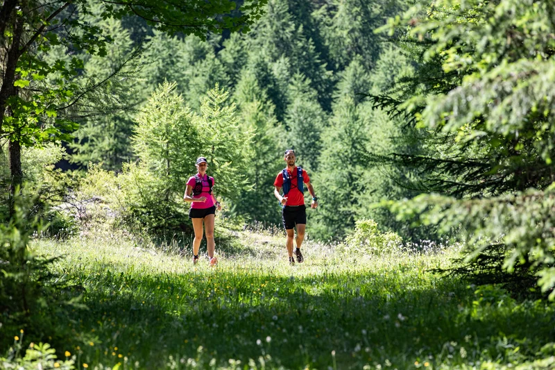 Forêt de Boscodon · © Kina Photo · Droits d'auteur