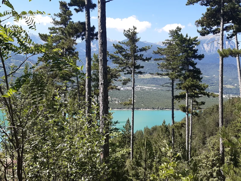 Les eaux du lac qui miroitent à travers les branchages · © florimont.tilliere