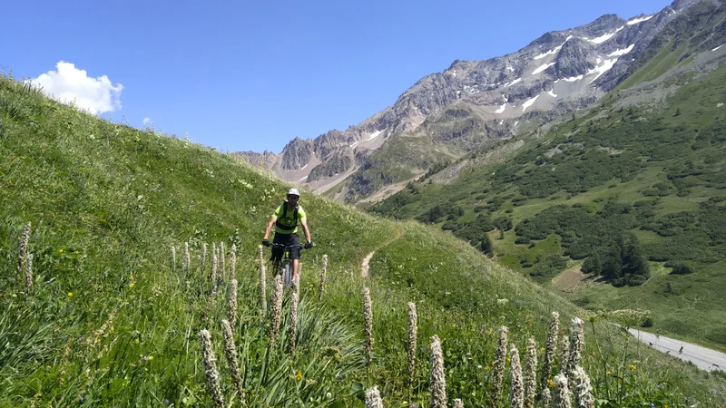 Descente du Col du Lautaret · © M. Buffet
