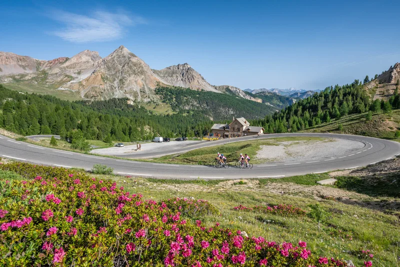 Col de l'Izoard - Cyclotourisme · © ️Alpes Photographies · Droits d'auteur