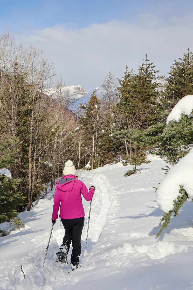 Raquettes au dessus de Villard St Pancrace · © S.Morattel · Droits d'auteur