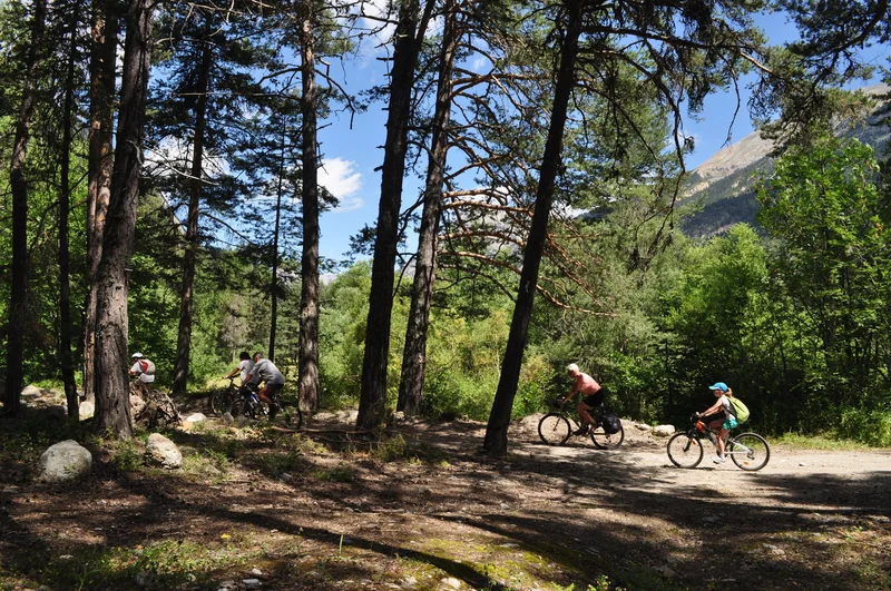 Balade en VTT dans les bois · © ️Service Tourisme de Val des Prés · Droits d'auteur