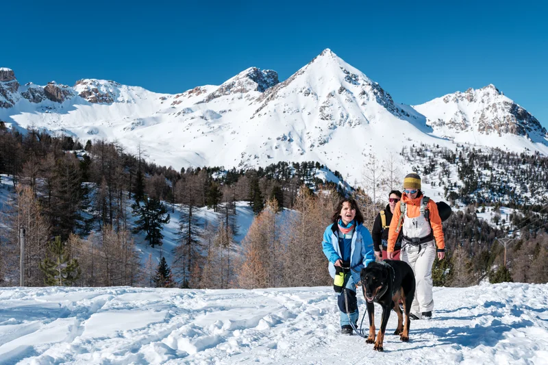 Montée au col de l'Izoard · © T.Poinas / Galimey Studio · Droits d'auteur