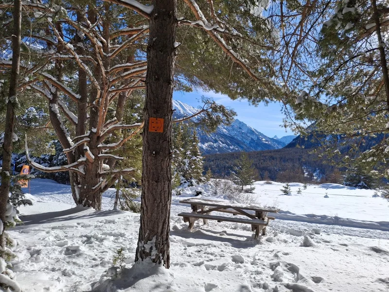 Point de vue depuis l'itinéraire balisé · © G.Monnet · Droits d'auteur