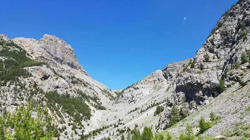 Vue au dessus de la Lauze · © FGUFFROY · Droits d'auteur