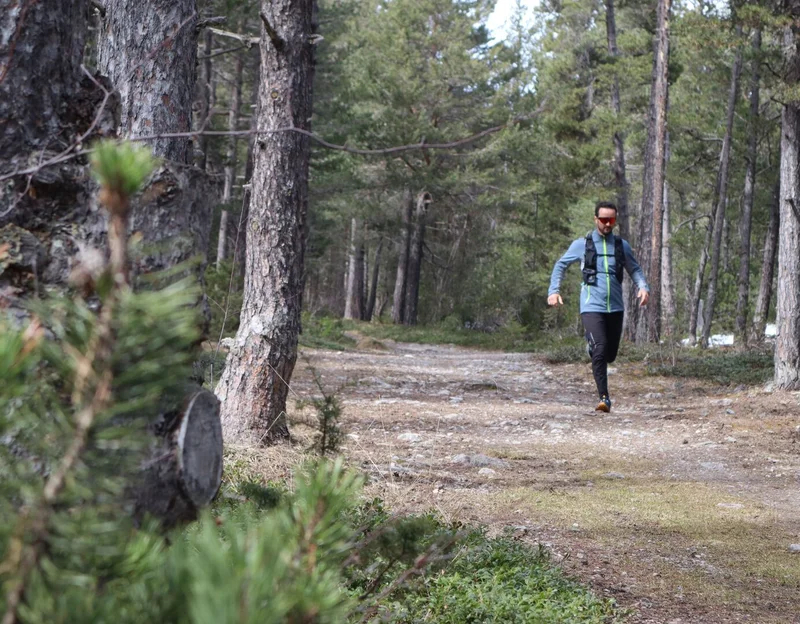 Sous-bois entre Val des Prés et Plampinet · © Laury Chamerlat · Droits d'auteur