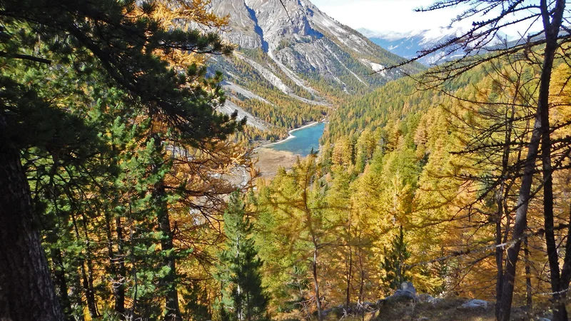 Vue depuis le sentier des chalets de la Taure · © ️Michel Ducroux · Droits d'auteur