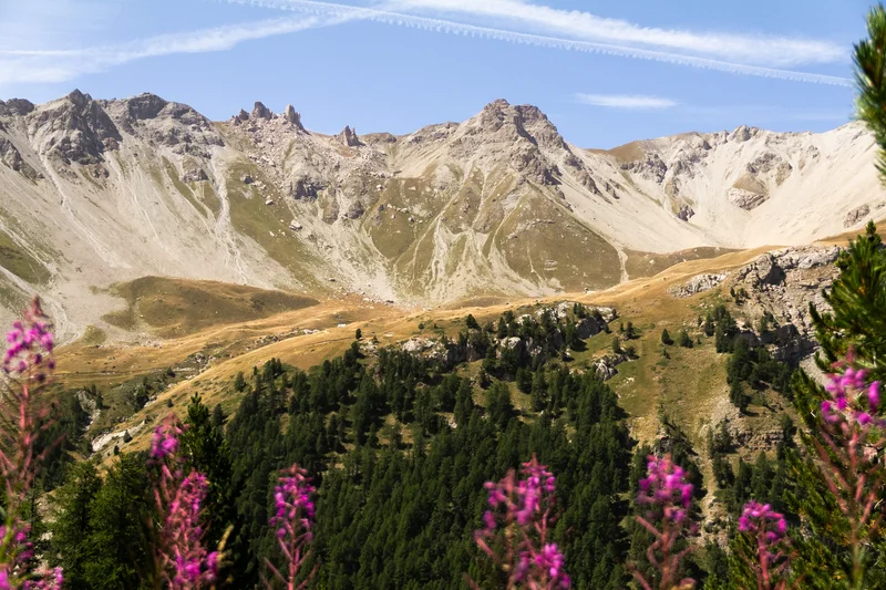 Balade sur le sentier pédagogique de la Taure + Lac d'Orceyrette · © ️Balacé Amandine · Droits d'auteur