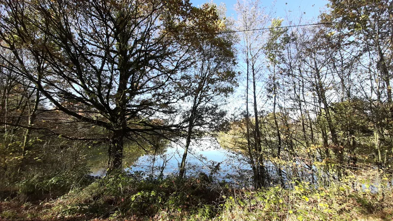 VTT Aux confins du Perche — La Bazoche-Gouet