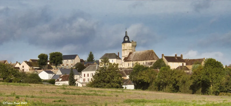 Brunelles · © Didier Orsal