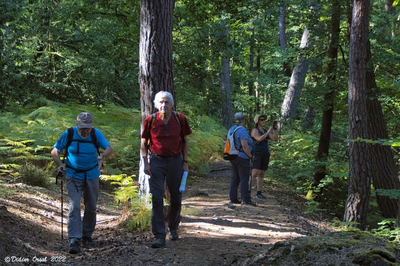 Randonnée Forêt et vallée de l'Eure — Fontaine-Simon
