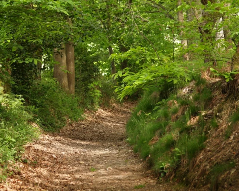 Par les chemins... · © Maison du tourisme-Collines du Perche Normand