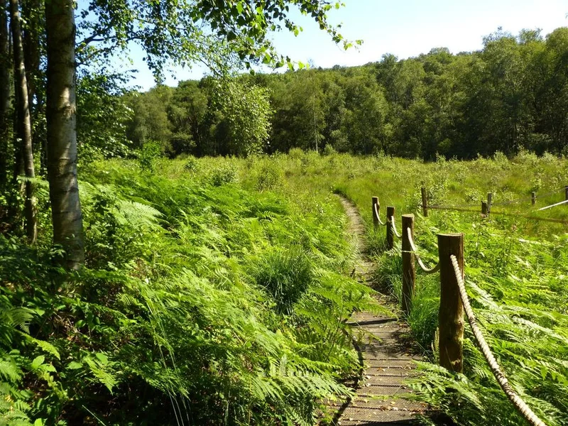 Randonnée La Tourbière des Froux et son sentier de découverte — Manou