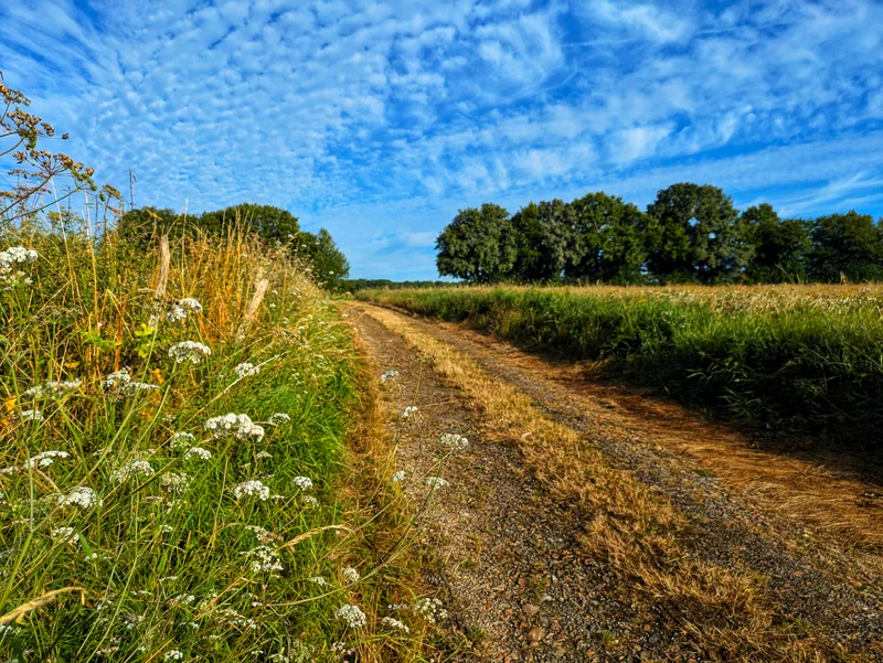 Randonnée La vallée de la Berthe — Vichères