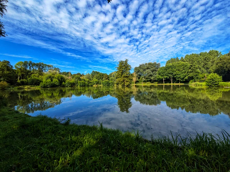 Etang de Vichères