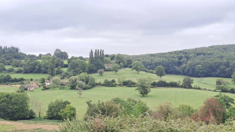 Randonnée Le camp du châtelier — Belforêt-en-Perche