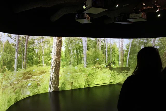 Musée Forêt d'Histoires · © admin-pnrp