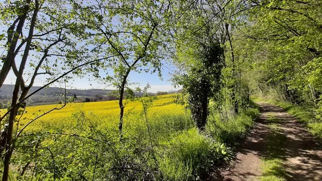 VTT Le Manoir de Boiscorde — Rémalard en Perche