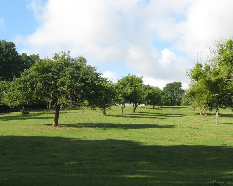 Randonnée Le Mont Cendrou — Val-au-Perche