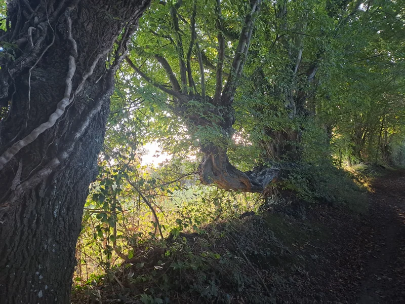 VTT Le moulin de Crignon à VTT — Arcisses