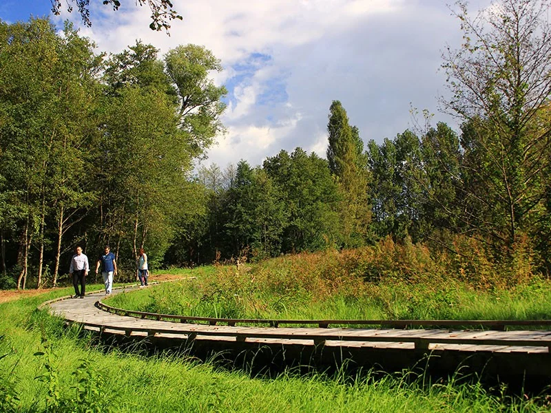 Randonnée Les chaudrons de la Dourdannerie — Bretoncelles