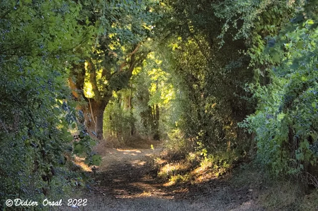 Randonnée Les chemins de l'histoire — Sablons sur Huisne