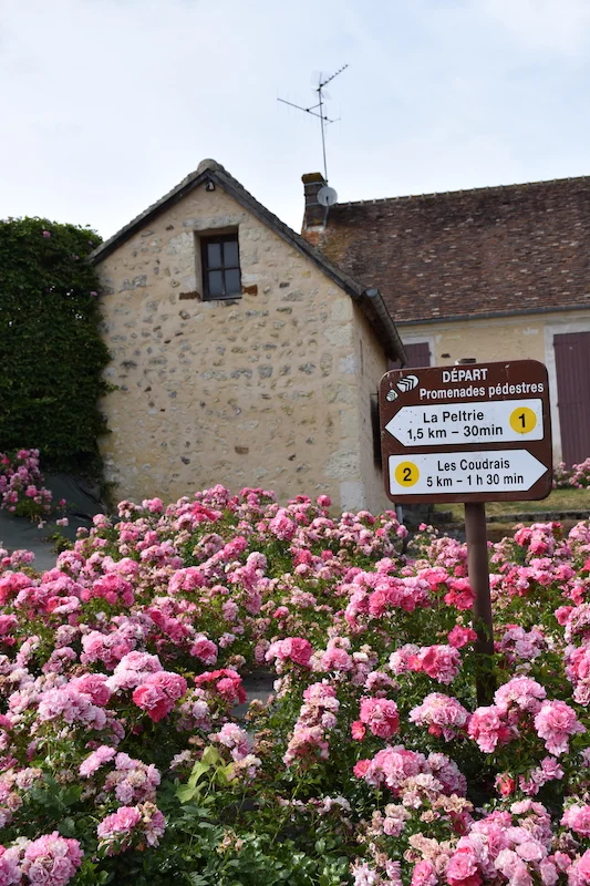 Randonnée Les Coudrais — Tourouvre au Perche