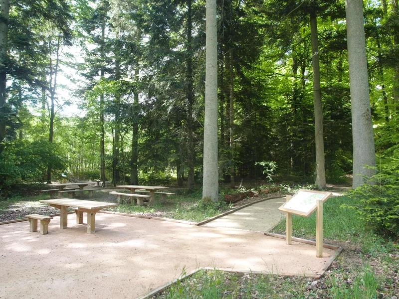 Randonnée Le sentier de l'Orée du bois — Senonches