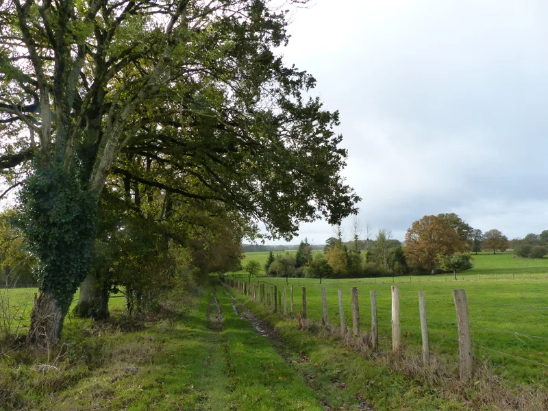 Randonnée Les Marnaux — Longny les Villages