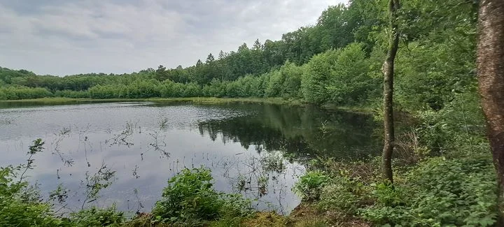 Randonnée Les ruines du château de Gannes — L'Hôme-Chamondot