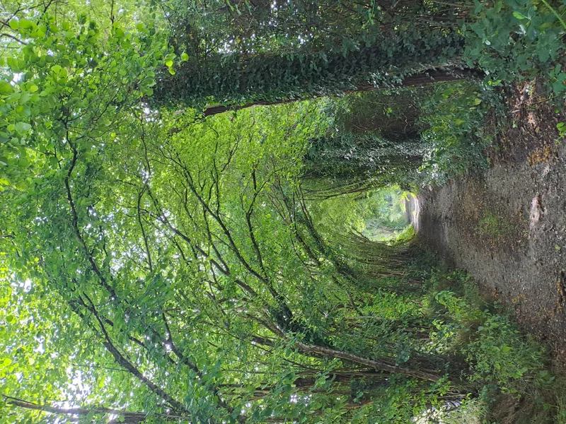 Randonnée Nobles Logis (Dancé) — Perche en Nocé
