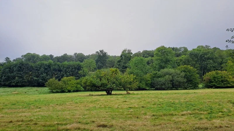 Randonnée Promenade le long de l'Yerre — La Bazoche-Gouet