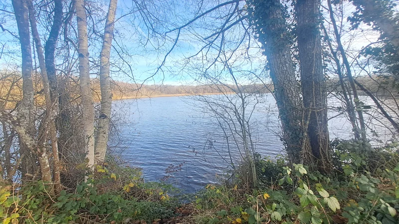 Etang