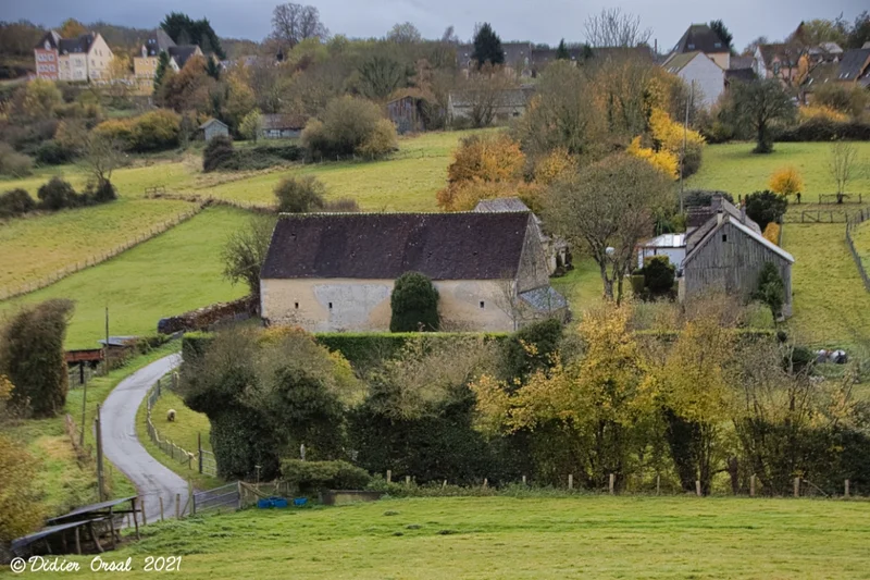 Aux environs de Bellême©Didier Orsal