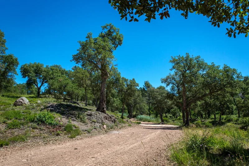 Randonnée Boucle du Défens — Puget-sur-Argens