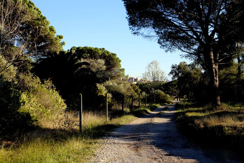 Randonnée Chemin de Compostelle — Puget-sur-Argens