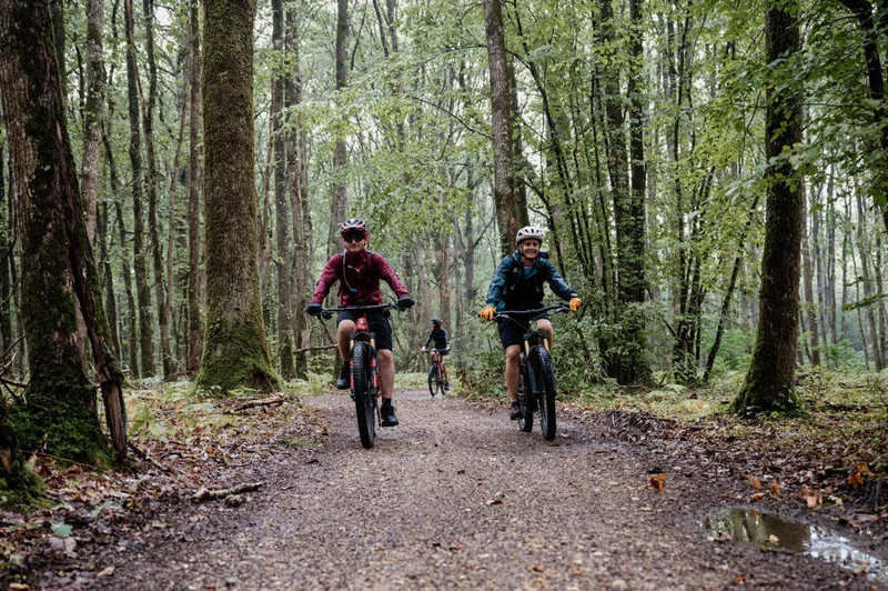 En forêt... · © Thomas Le Floch-CRT Normandie