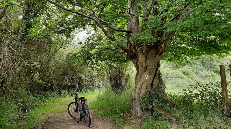 VTT Les Manoirs
