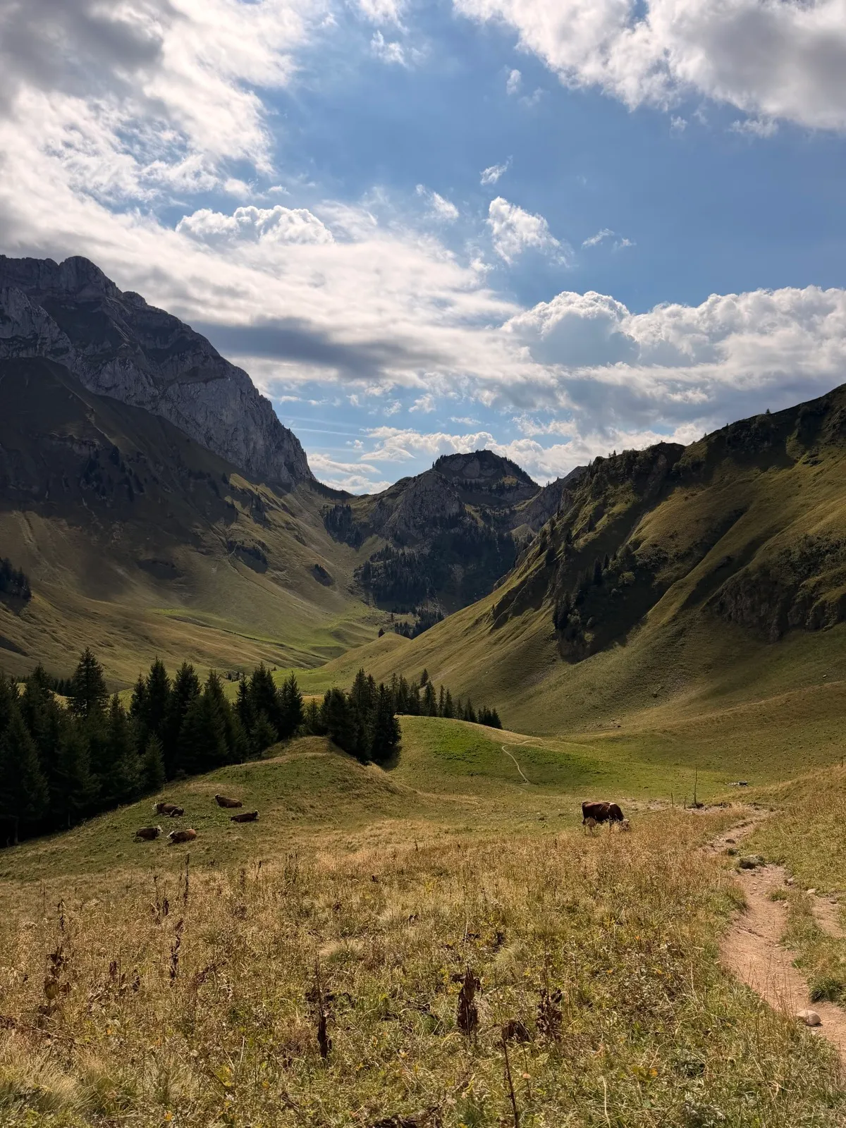 Randonnée Boucle du lac de Darbon par Bise